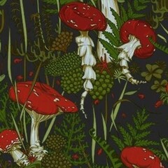 Издательство Альпина.Дети