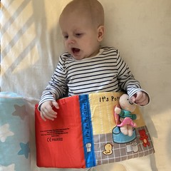 Учебная программа