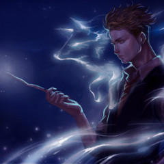 Фанфик по Гарри Поттеру «Путь начинающего тёмного мага», «Путь опытного тёмного мага» 