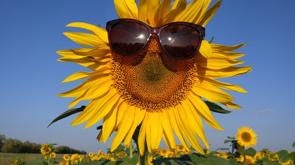 Джйотиш, карты