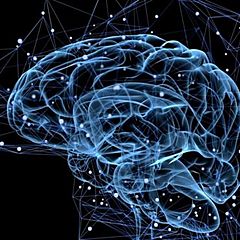 7 книг о разуме и его иллюзиях