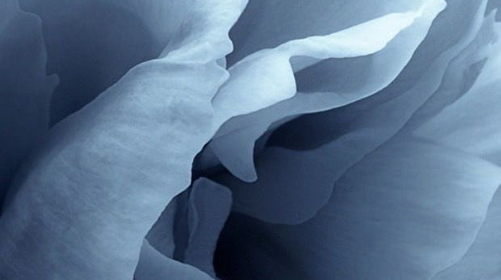 little bit about music 