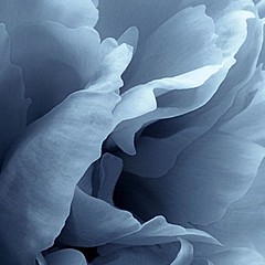 little bit about music 