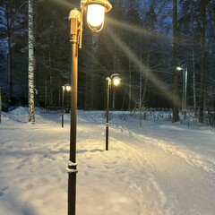 Книжный клуб Стерлядей