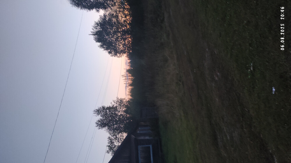 Алиса Селезнева