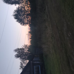 Алиса Селезнева