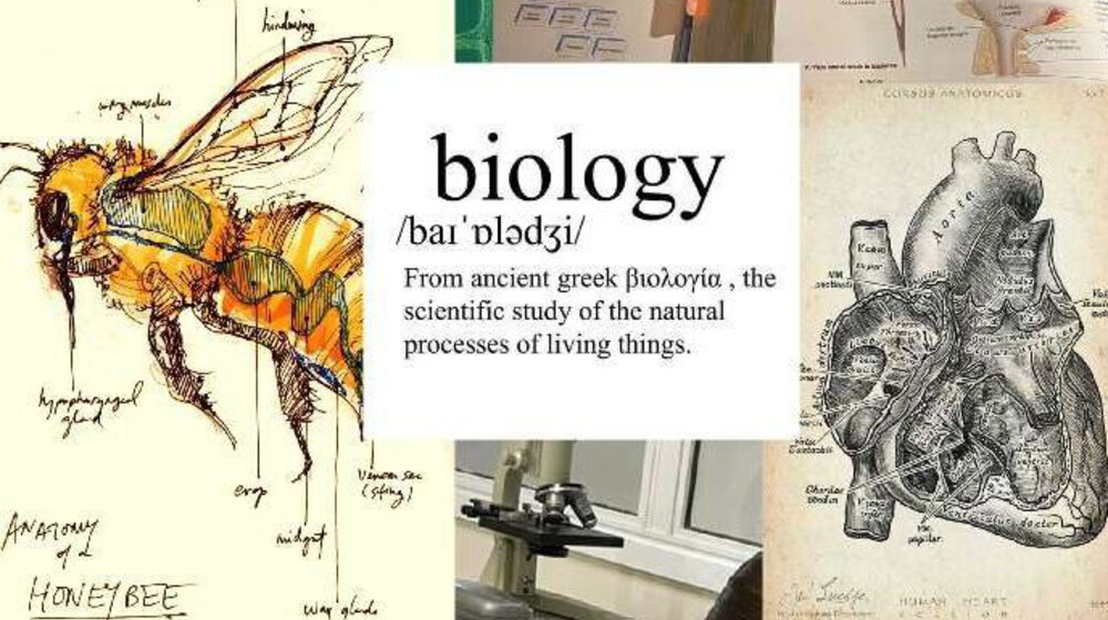 Про биологию, медицину и всё такое