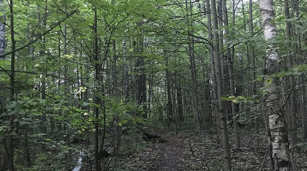 Читать и отдыхать