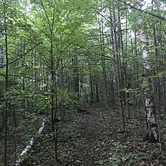 Читать и отдыхать