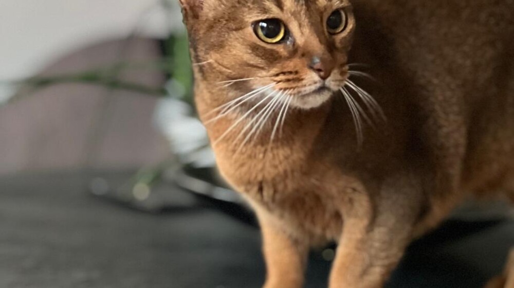 Прочитать за лето