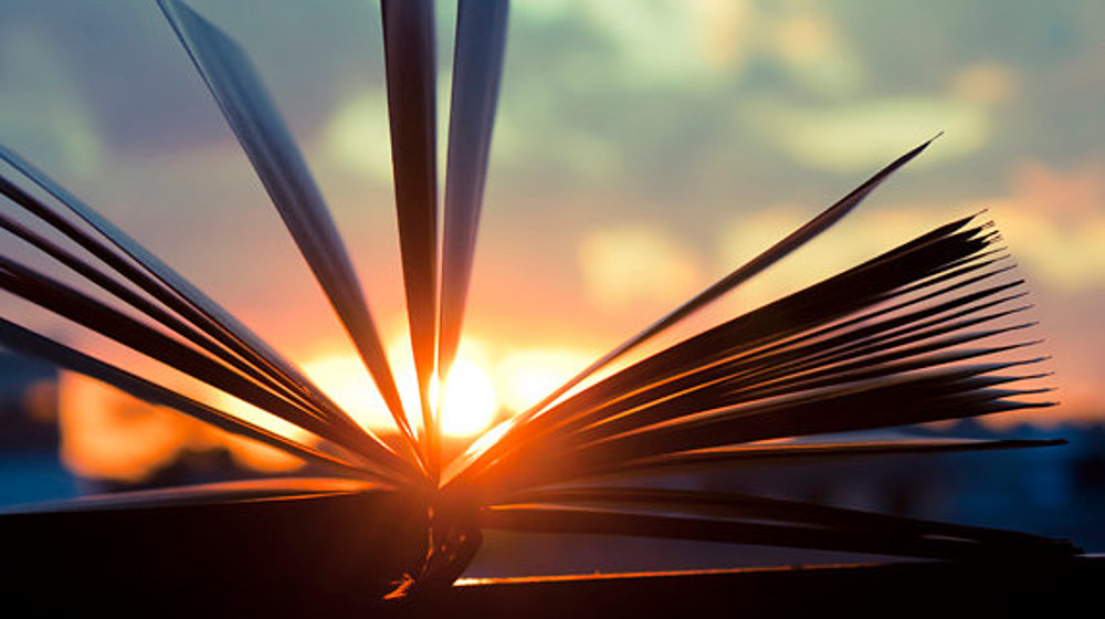 Fiction & NonFiction 2020