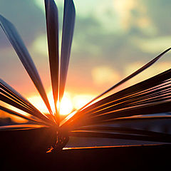 Fiction & NonFiction 2020