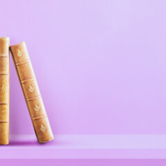 Хрестоматия по литературе