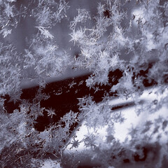 Хочу прочесть.