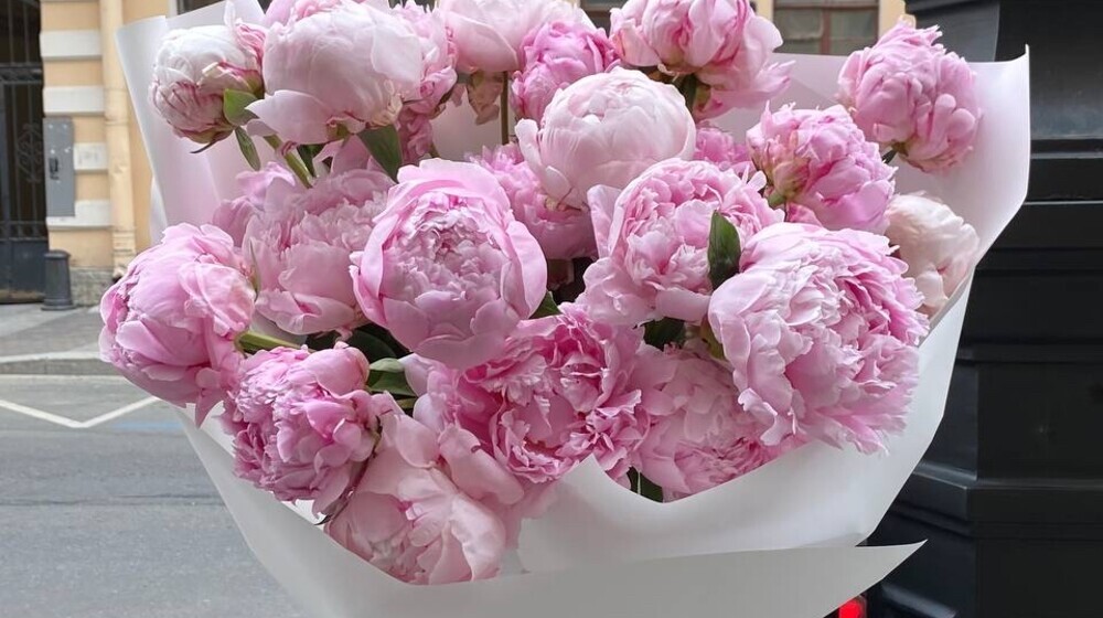 не душно о душевном