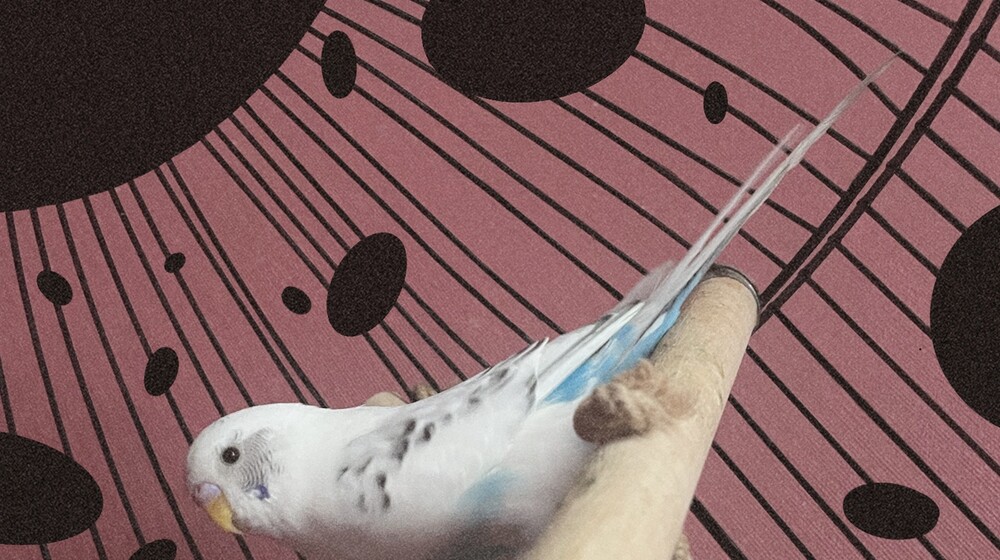 Аудио-книги