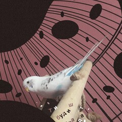 Аудио-книги