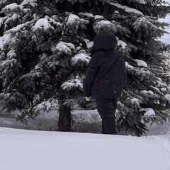 Полка для историй 