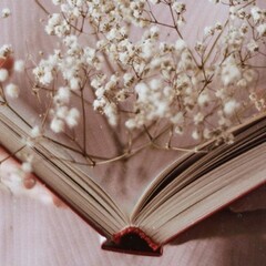 Красивые книги