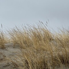 Книги на 1 вечер