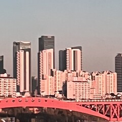 번역한 한국과 일본 독서