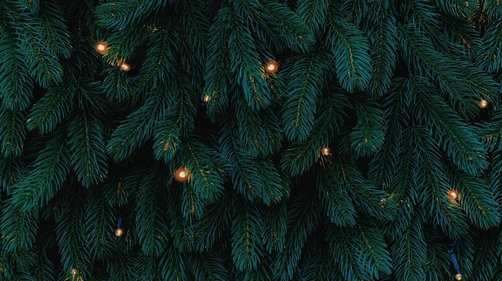 Мороз и магия: 
любимое зимнее фэнтези