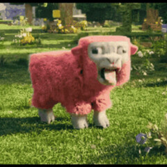 Зборник года