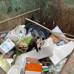 помогло в депрессии