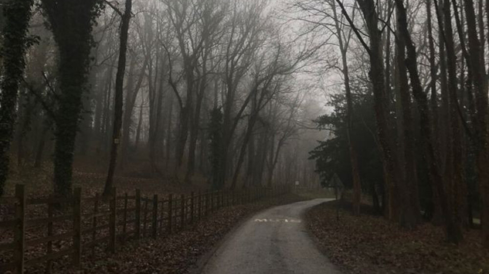 Сновидения Ехо