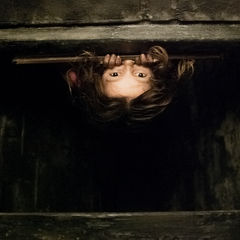 «Война Анны»: выбор Антона Долина