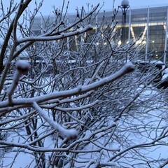 Фантастика