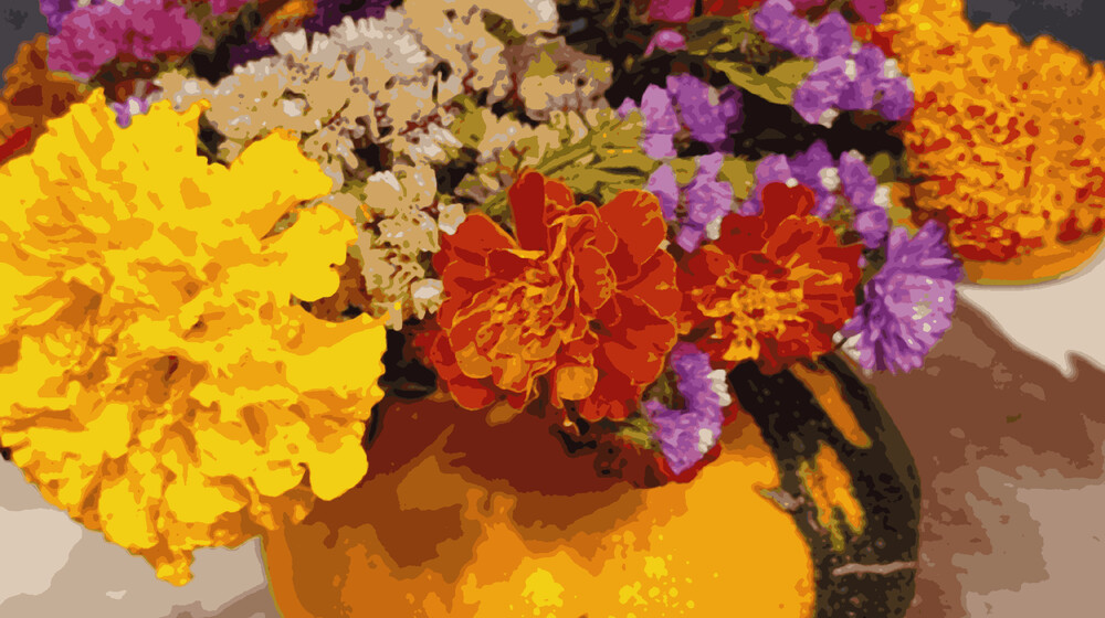 Сад и огород