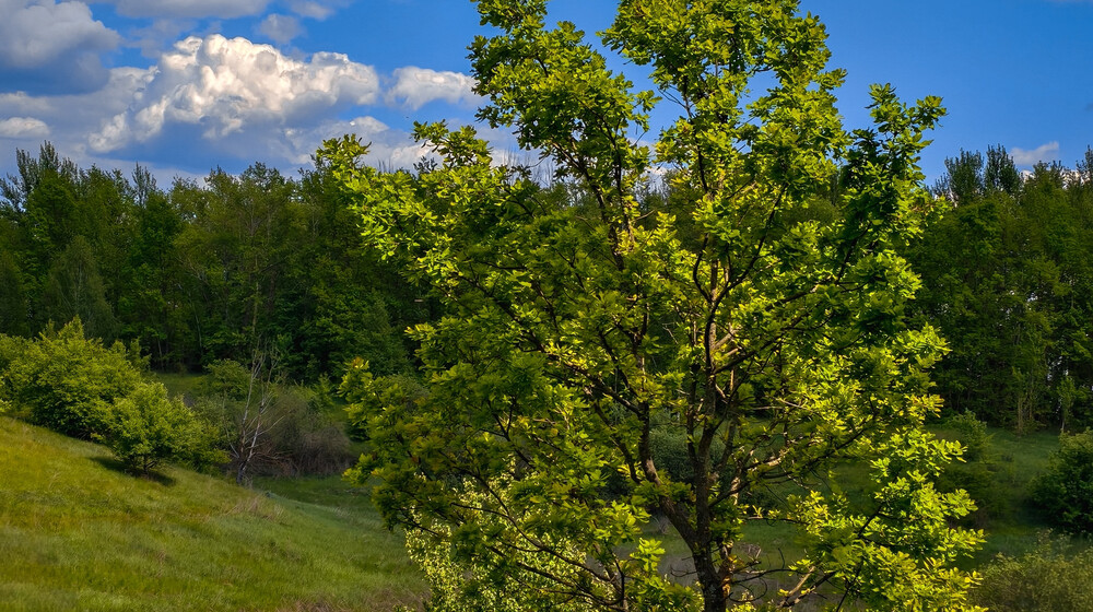 Фантастика
