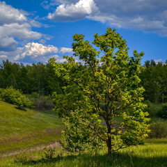 Фантастика