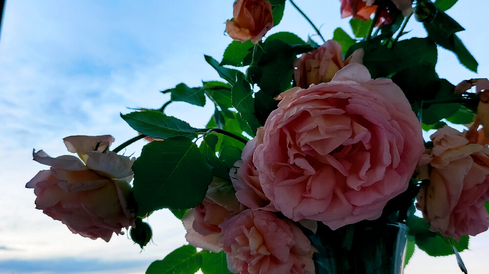 Литература на лето на 9 класс