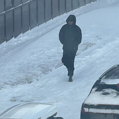 Прочитанные