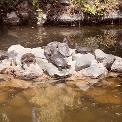 Рекомендации блогеров