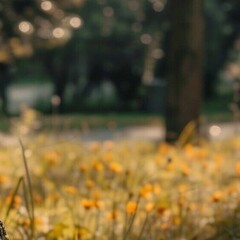 ❤️ любимое 