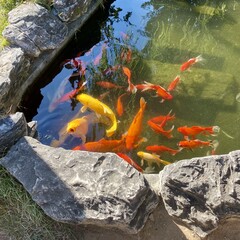 Увидеть красоту в несовершенстве