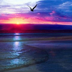 Саморазвитие????