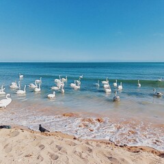 №2 серьёзное