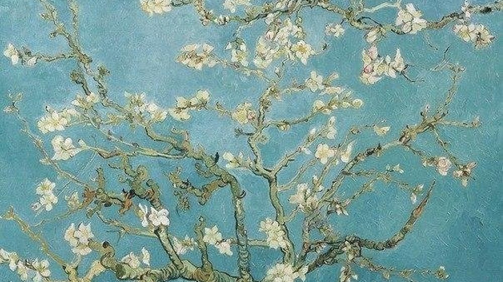 Прочитанное 