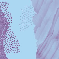 Личный Кабинет