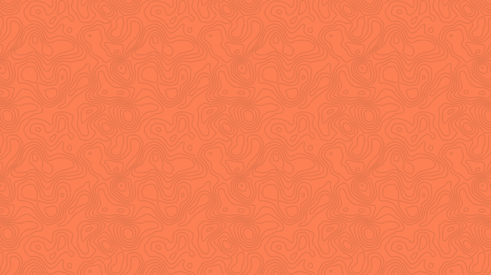 Большой начальник