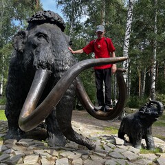 История всего 