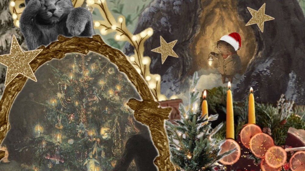 зима ❄️☃️