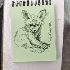 Легенды и мифы