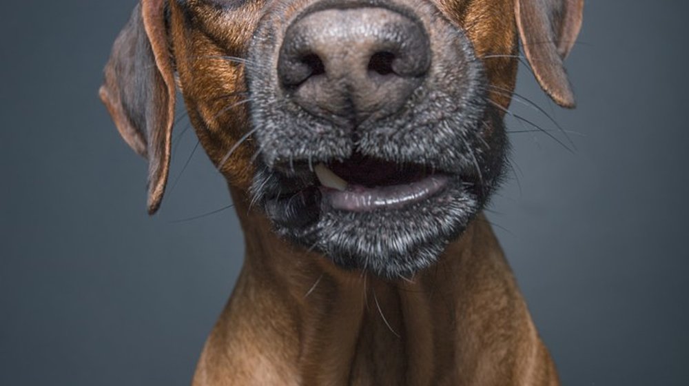 Книги c уродскими облогами