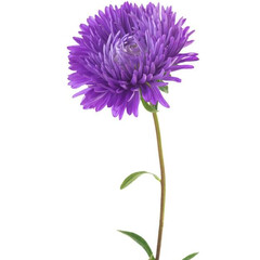 Аудио книги в дорогу