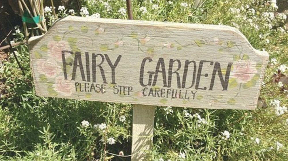 Фэйри, ведьмы ~